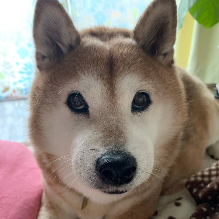 8cef56b3 d04d 461b b6c3 2687925fe762 1574472944510