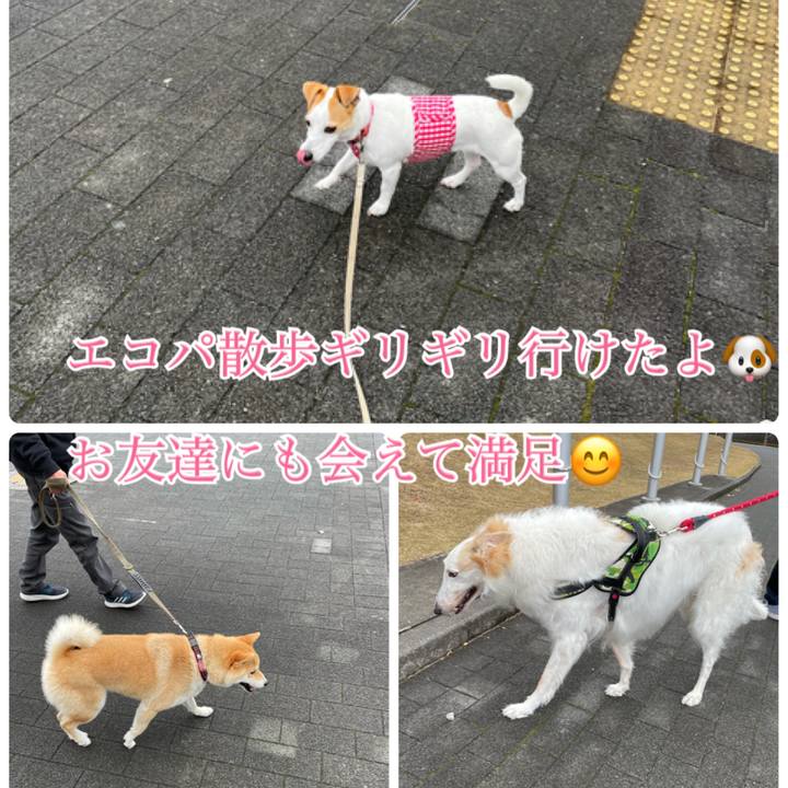 8cef6729 1fb3 4607 a19e dc6d42c25f68 1611474941471