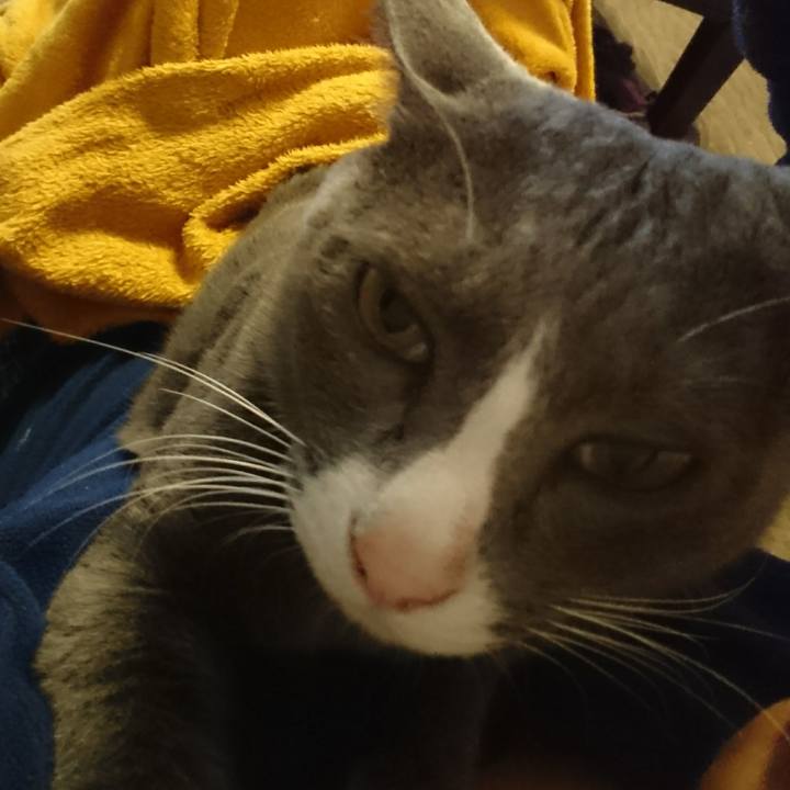 8cef7442 6197 4c8e a5ef 992d5cf8e37f 1508652418122