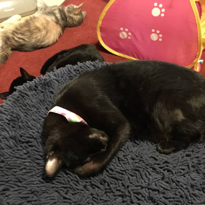 8cef74b8 5a84 49af b4f8 a1176f285c14 1514118503710