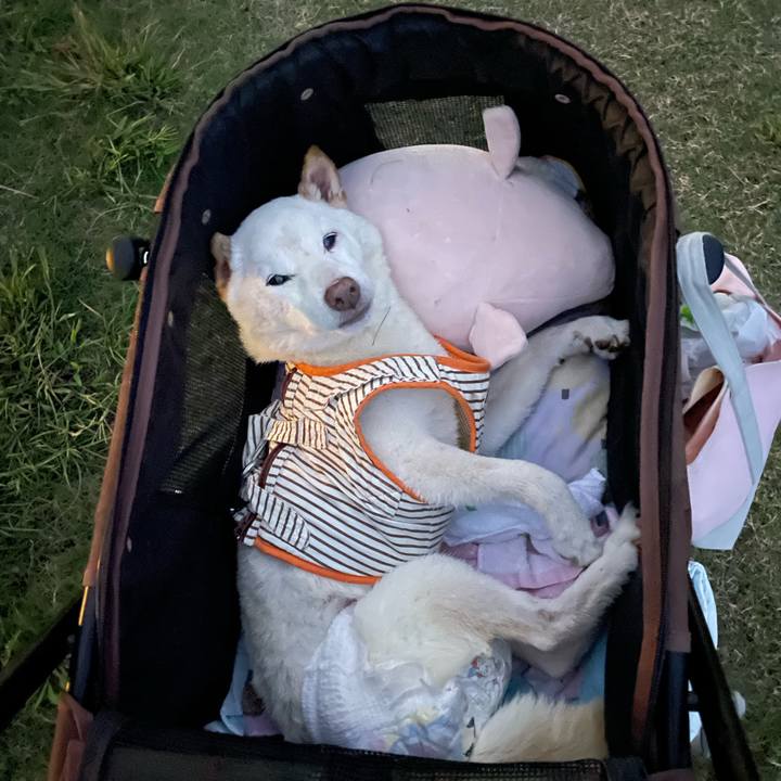 8cef7bb9 2ec3 441d a011 927e9c80abe8 1664104288076