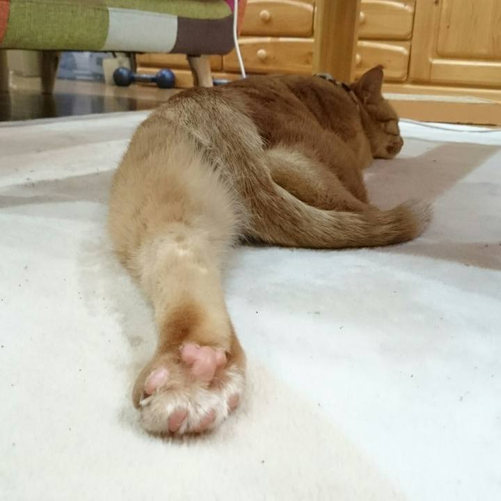 8cef84dd dd0b 4dd7 af2e ba37c695255b 1556367385390