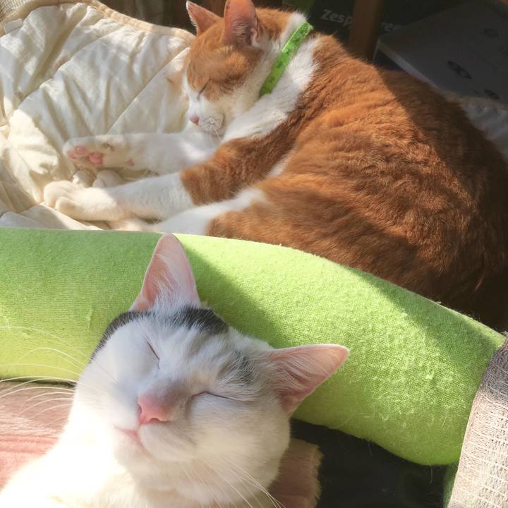 8cefc06f cd11 4b83 ac95 e7d9ec108df6 1555624454114