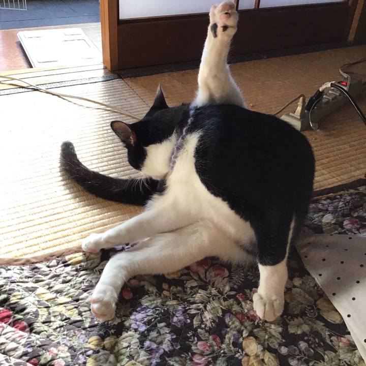 8cefc3bd a46d 40f8 93f2 67f3aeffb789 1640579599040