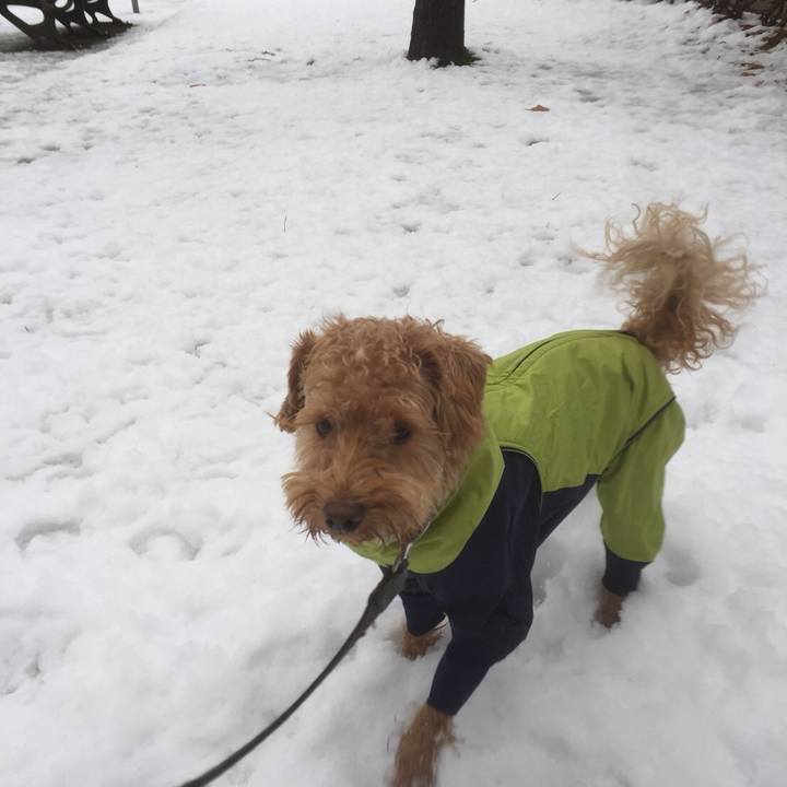 8cefde07 4593 447c a5bb d3431d353e7f 1510960794097