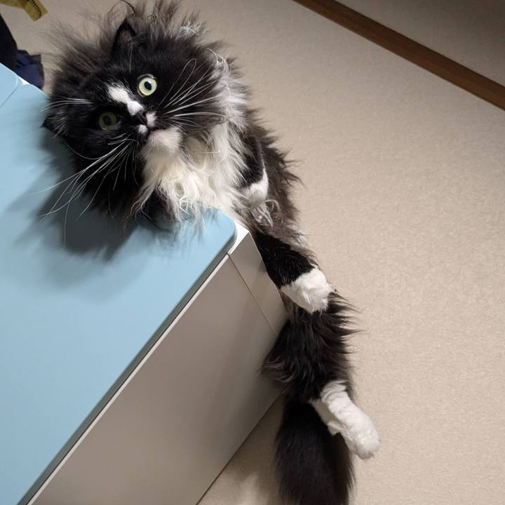 8cefdfdb 17ef 4f4e 8189 adbabbb66c52 1727059404664