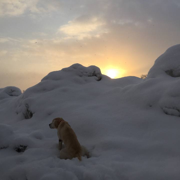 8ceff4d4 cd10 417e 9129 9a1ddabc052c 1519254989714