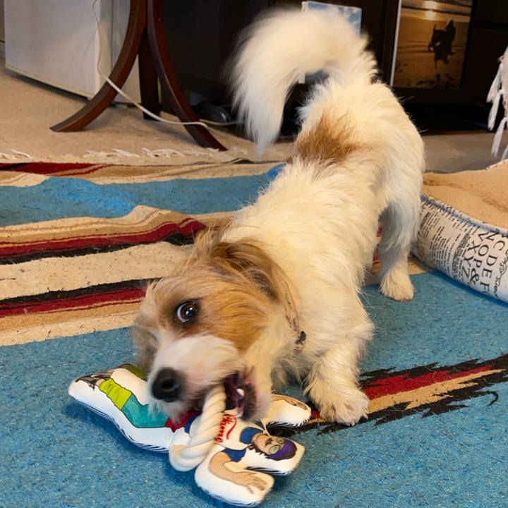 8cf01e97 e9ab 43e3 9d4a f1518dc704c2 1770731680615