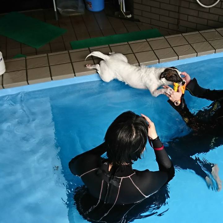 8cf032ee 2214 47f9 a972 a499a226f27e 1518329296753