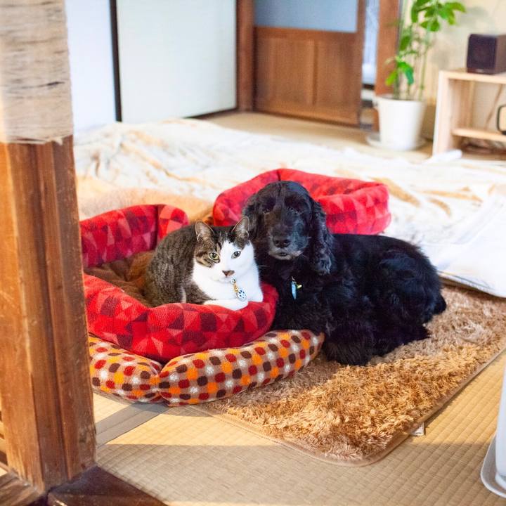 8cf04c53 ce5c 4b56 ae74 aa0990c50f3b 1579945828891