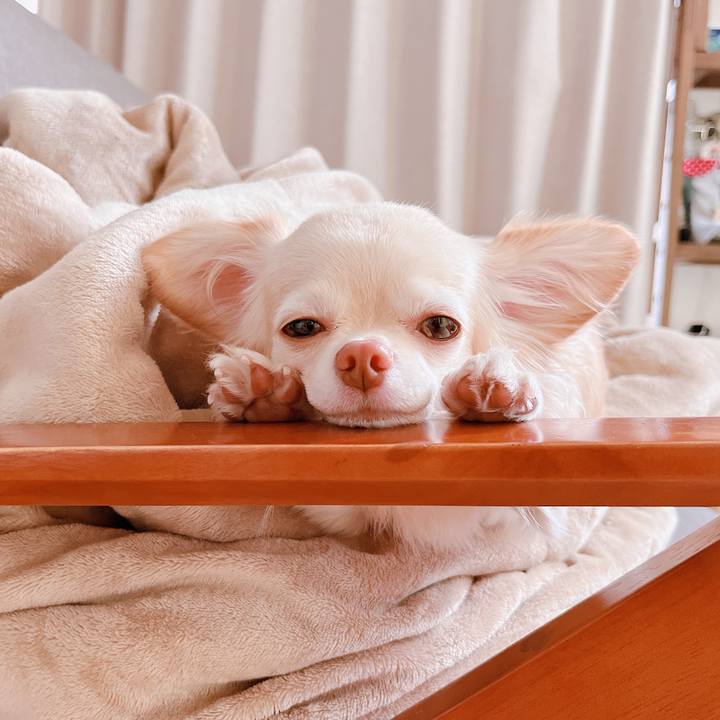 8cf053a9 ebda 4057 98ab e242aee5d4f8 1664775005418