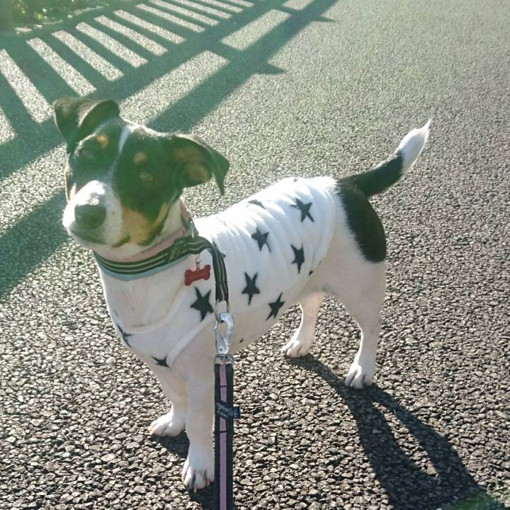 8cf06691 d5c4 494c 8139 d7a05f2134c8 1544838624574