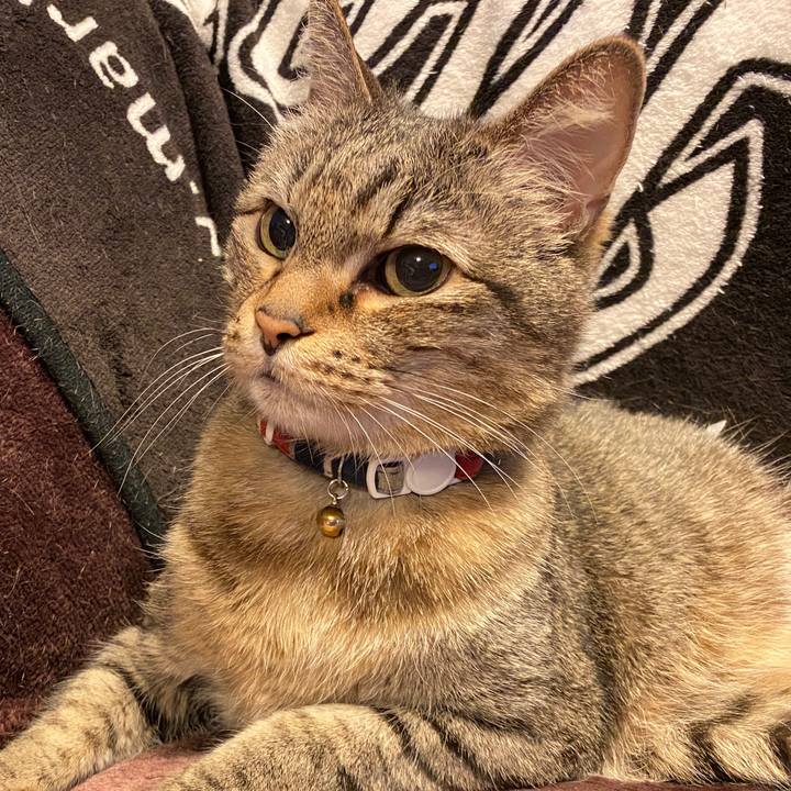 8cf0963a 9a36 4beb 87e6 3f1deed52647 1697355962793