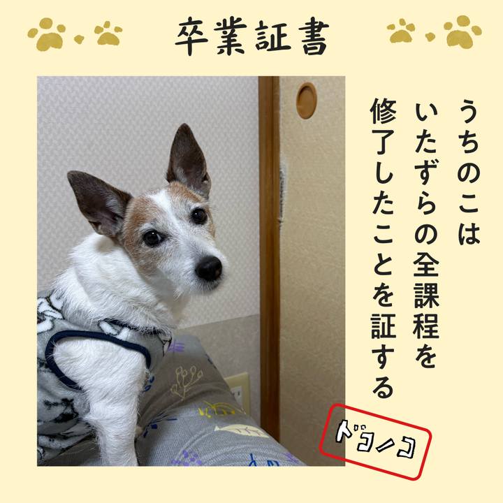 8cf0a520 2f00 45c6 9396 18bee74ca8bf 1772327506543