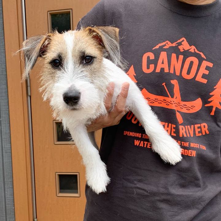 8cf0a7e0 e2f0 499b b5a6 39acc18bf415 1565758558528