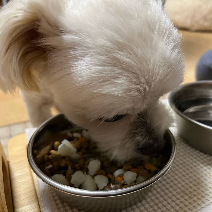 8cf0c514 6a12 4f47 8135 2379cb0007ba 1655637455157