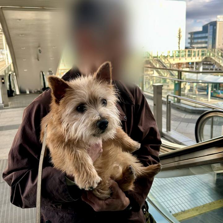 8cf0e8da e397 46da 8ae9 58c08e751721 1709380832235