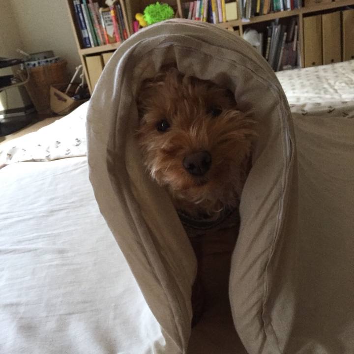 8cf13924 f368 4e00 b9a5 efb0c50435d3 1517907838438