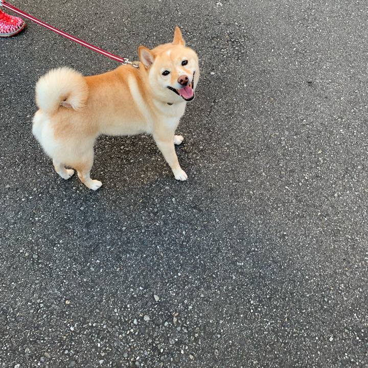 8cf14628 aa0d 4a26 9746 aedc00b5b13d 1628202676731