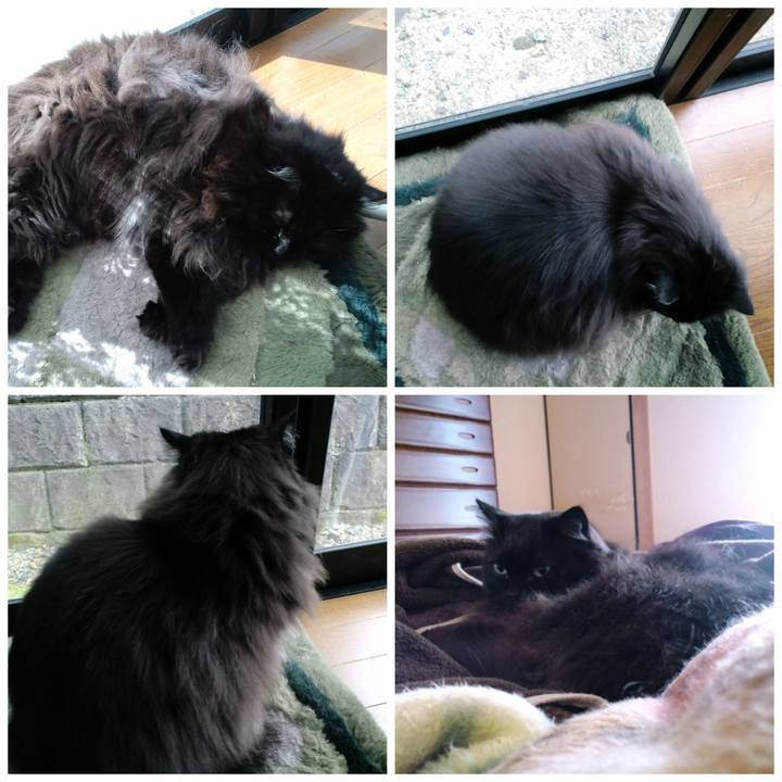 8cf19292 11d3 42c1 83d5 b7fa89f3e315 1629864350423