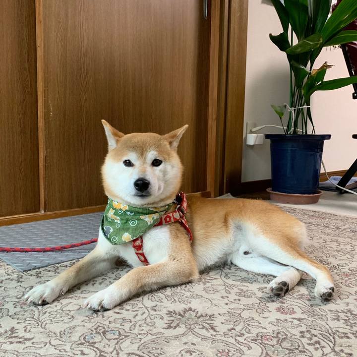 8cf1a610 5be3 4172 979f b5da32c1f7cd 1591435814515