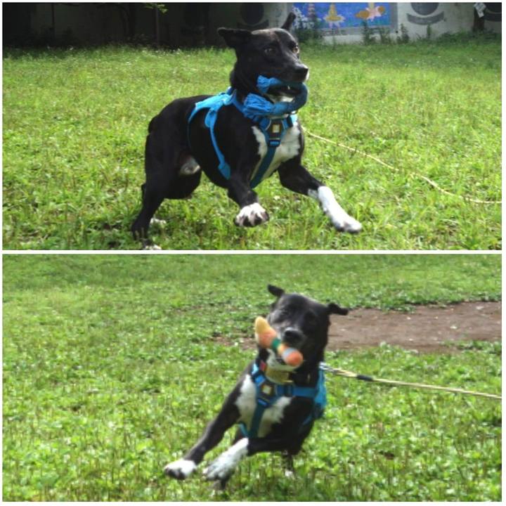 8cf1b093 6fab 4614 a449 d198c532aff0 1622593534718