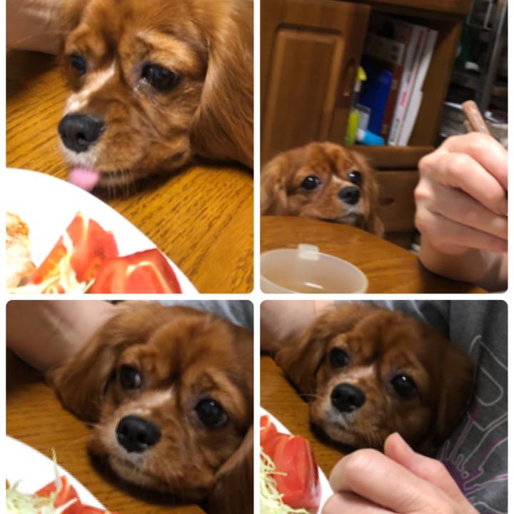 8cf1c6f6 3393 4509 ad35 453bb7b63252 1529815413926