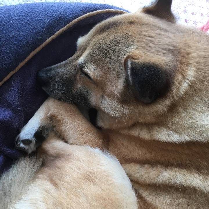 8cf1cf5a 544b 4313 a662 ceb202467fe3 1515290258223