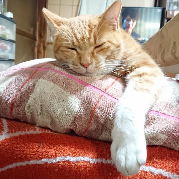 8cf1dda2 53e4 405e 8ff4 9d35bce4dffd 1604821622033