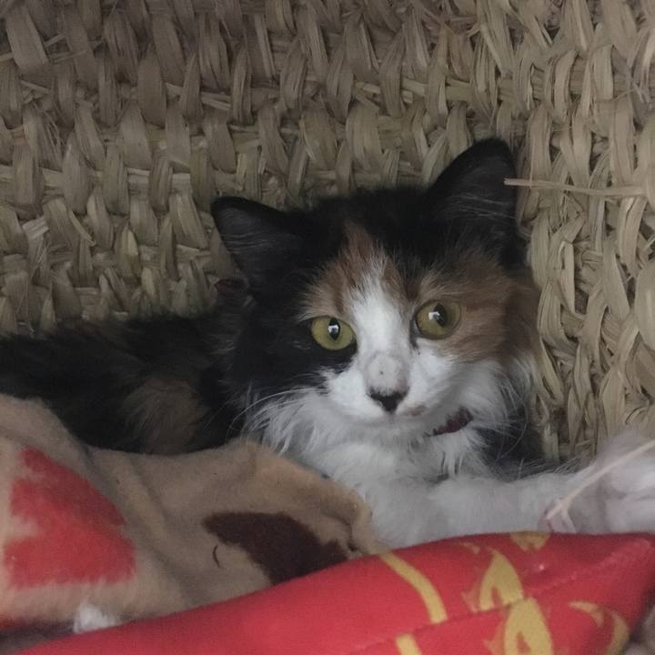 8cf1ddc0 a9ee 47ab b889 0d16f44f7cd3 1509718563895