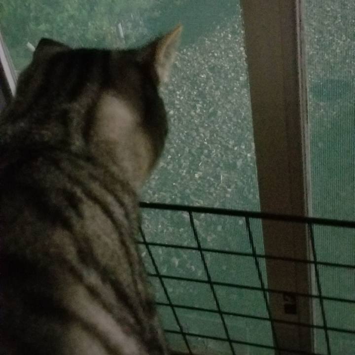 8cf209b0 4818 4080 9518 c58b462cabcb 1691618162463