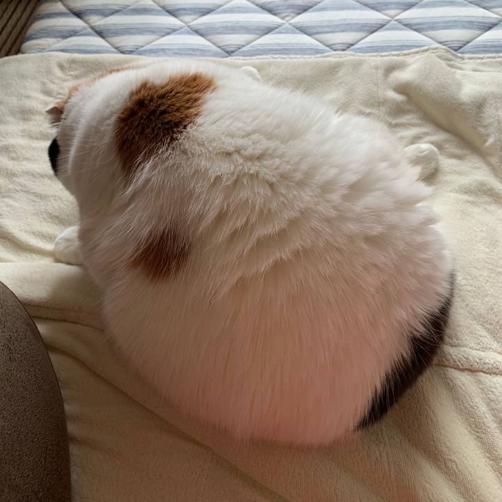 8cf22f32 f058 4c2d a8d9 92f4af72dd4c 1562762962157