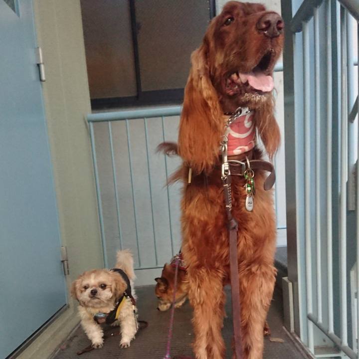 8cf2514a 4e13 4a17 bc0c 00c1ff645ad3 1575990118642