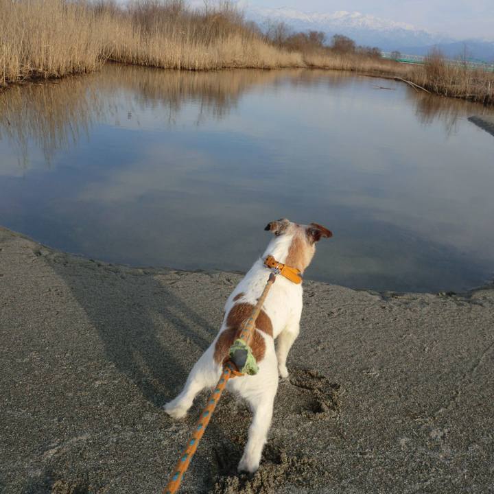 8cf25495 04f8 4f7c ba5c 1dce33f43492 1584187350327