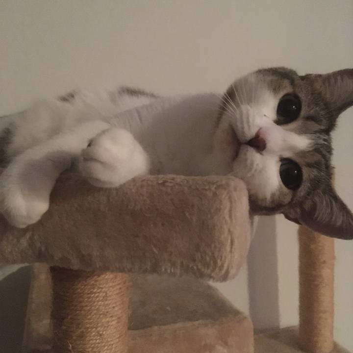 8cf28426 2e4e 46ec 8a61 b96fffc04f4f 1662683848545