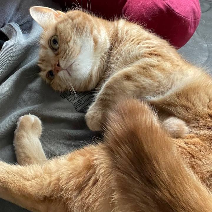 8cf2ab0f 1bc2 44e2 a84b 7b3dca927740 1677720487708