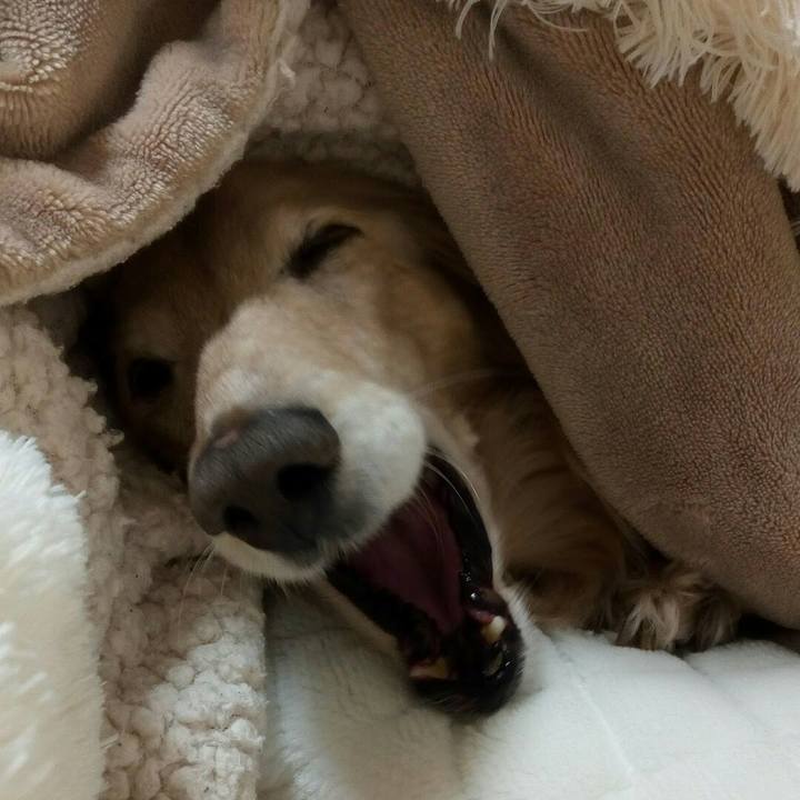 8cf32334 05bb 43cb bdd3 ae8ed9bd7165 1589465364606