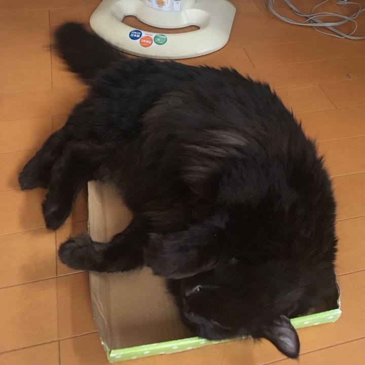 8cf34390 0172 44b9 83e2 4502b9091aee 1571206040902