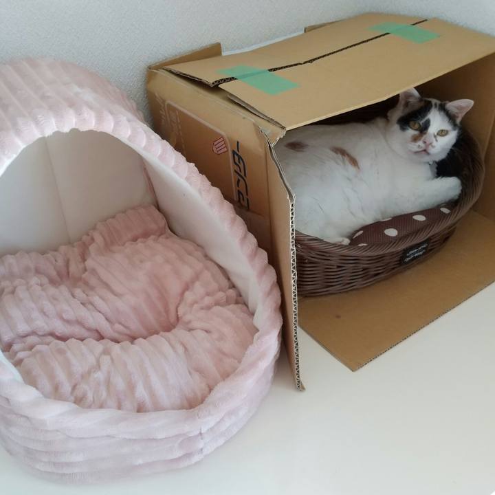 8cf3d8c1 d6d1 4746 a6e8 54a7f2095de2 1632017910345