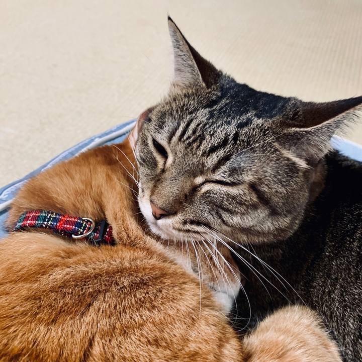 8cf4015f 2b7a 465a 8c39 47980a284464 1567863500594