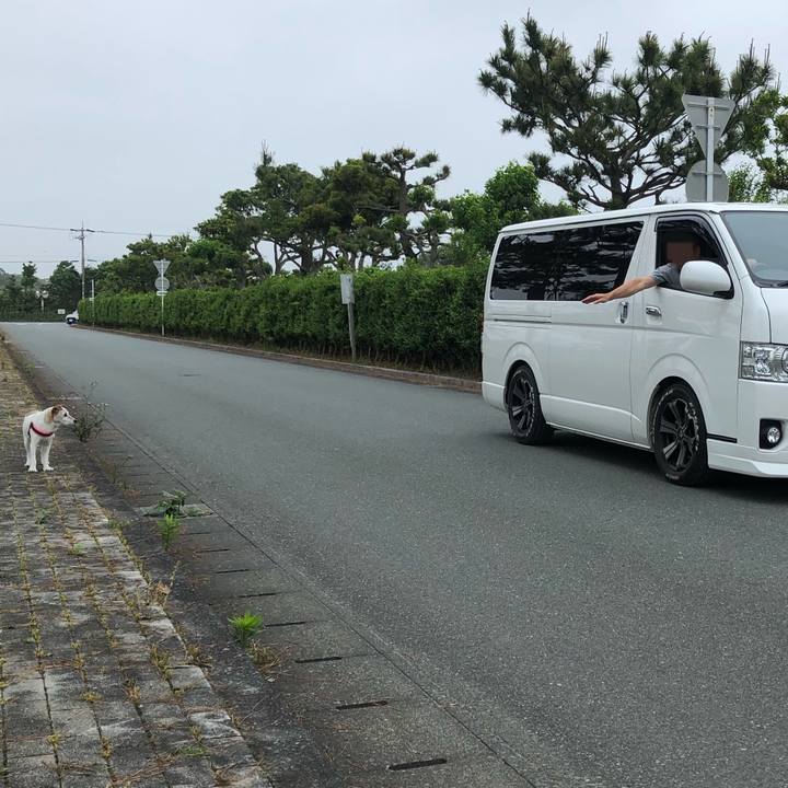 8cf40b4e 1cf5 4731 8d20 41d049b7370b 1592644943082