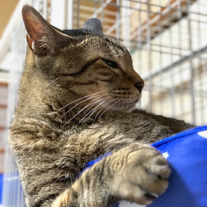 8cf4142a 8a41 4974 80f5 ebeea67cbf82 1564793062420