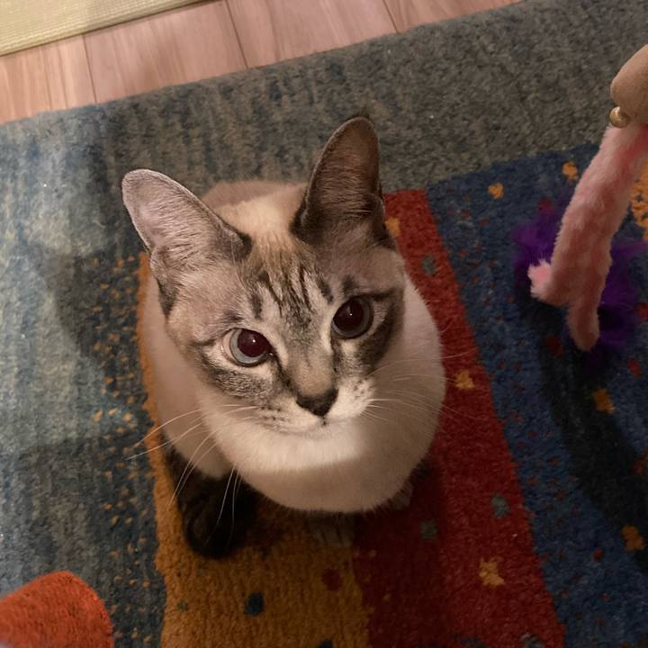 8cf46d8c f620 40b6 8734 c61a5af1c0e9 1706275567937