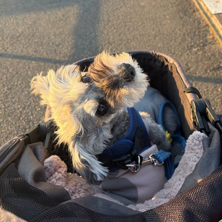 8cf476a2 8f3d 416a 9a62 b2b1d98f9cd8 1771414540173