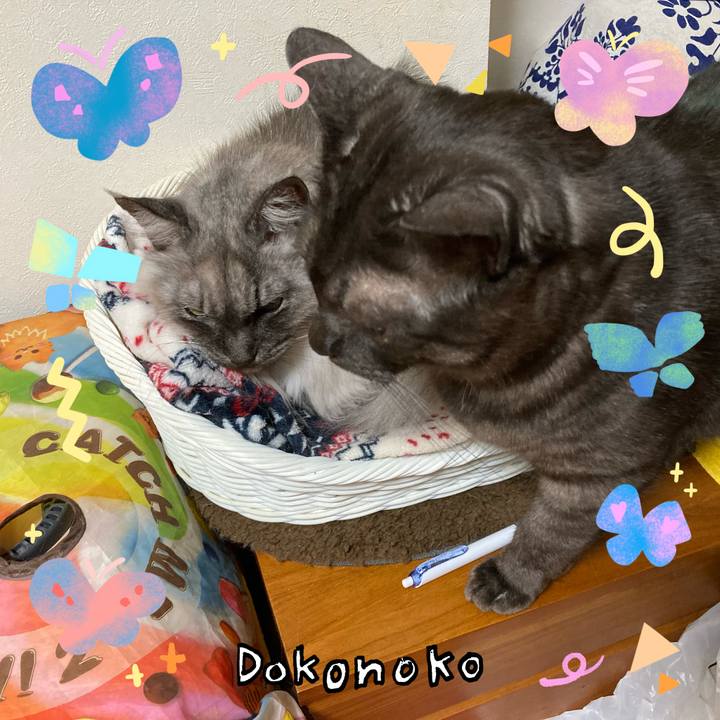 8cf53b7b bdaf 48c5 8614 7054acc898e1 1711059949762