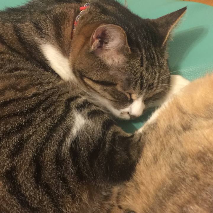 8cf57a07 0433 4b8f 8ed8 e38db6b99ec9 1559322170562