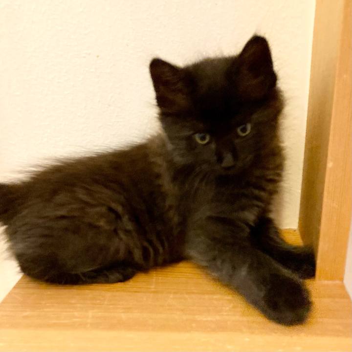 8cf5cb50 9175 440e 9851 ce6e36020187 1698817986254