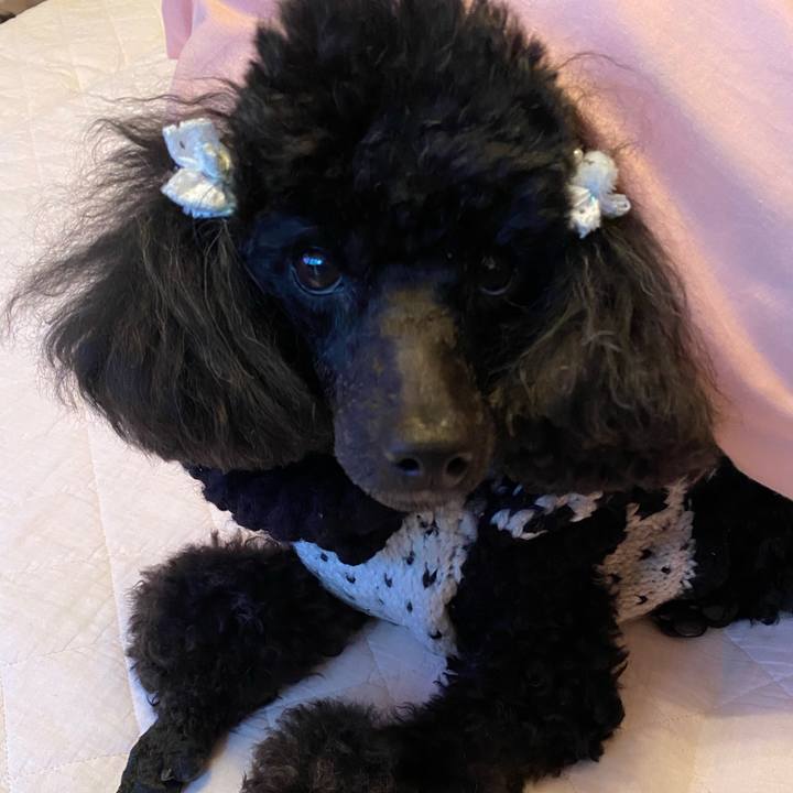 8cf635a7 2dd7 4d75 b599 3ea4a50c206a 1612221475809