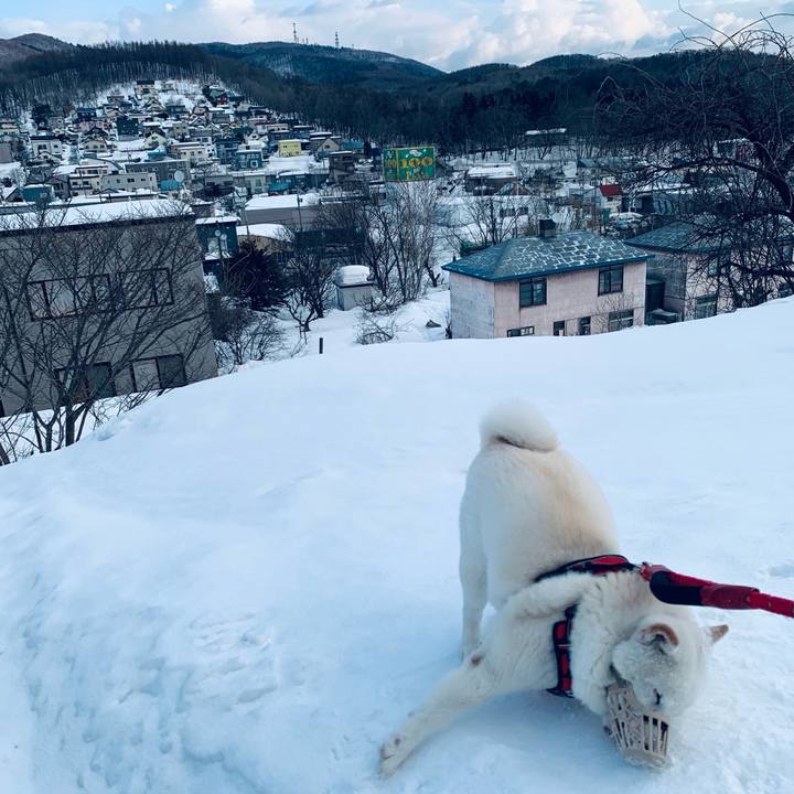 8cf648c0 5971 434a a810 8e6cc8e588ca 1678055922592