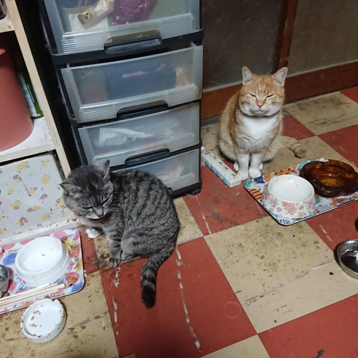 8cf681fa b061 428b 9303 35d0dd4b04fb 1584003921322